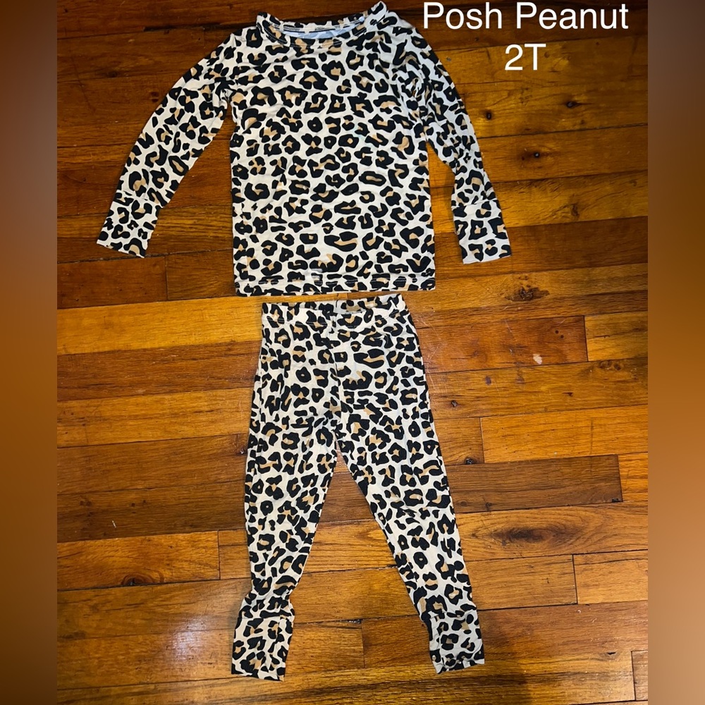 2T Posh Peanut 2piece pajamas